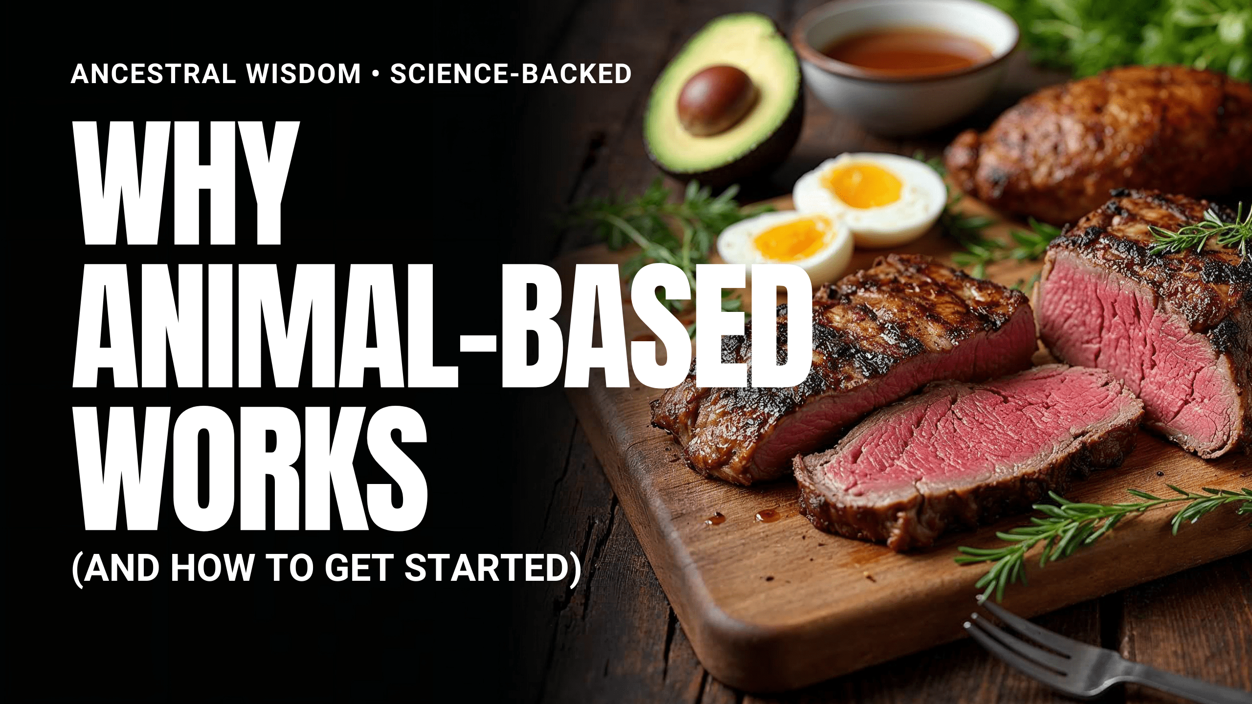 the animal-based diet